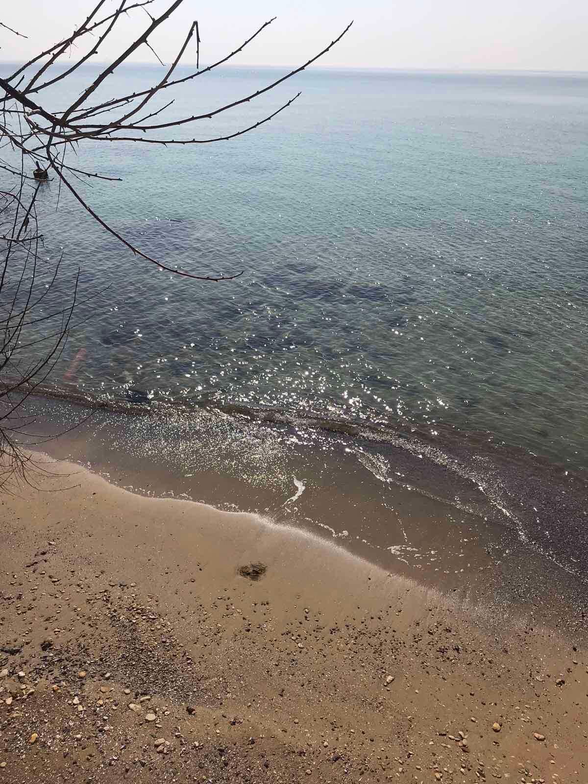 Сдаётся дача на берегу моря со своим пляжем