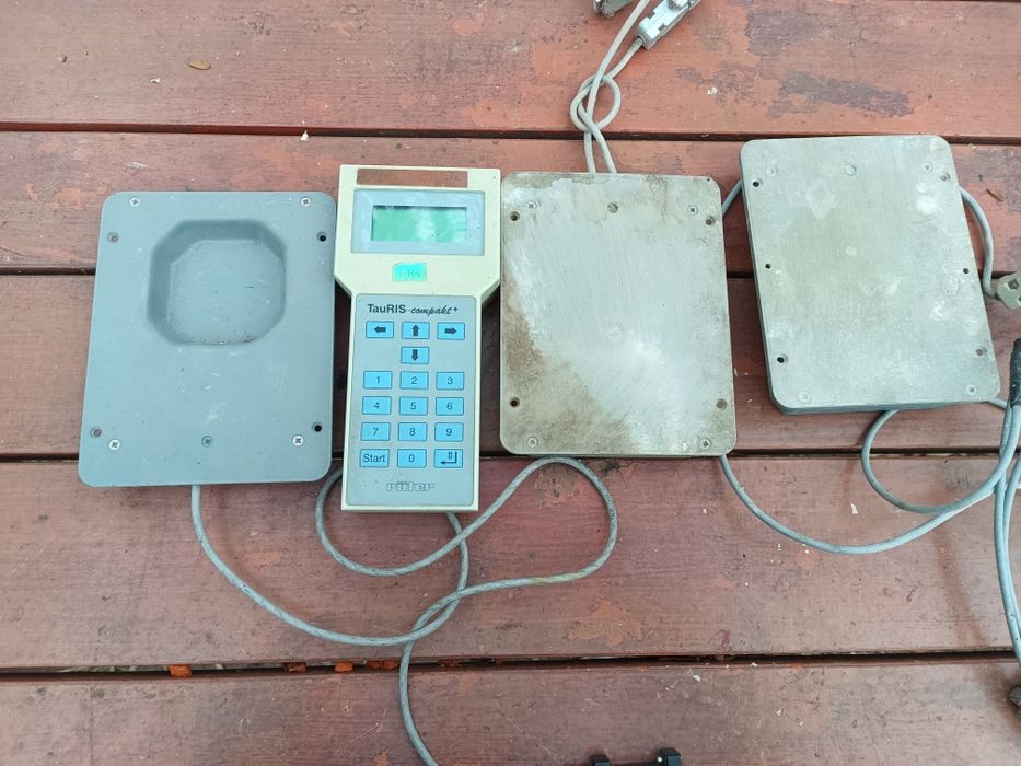 Zegar Tauris Compakt terminal pocztowe loty gołebie matka jednopolówka