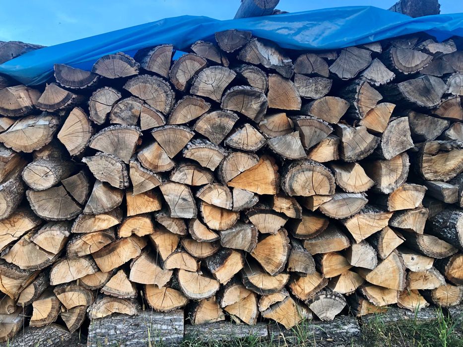 Drewno kominkowe i opałowe Różne Rodzaje ! Milicz