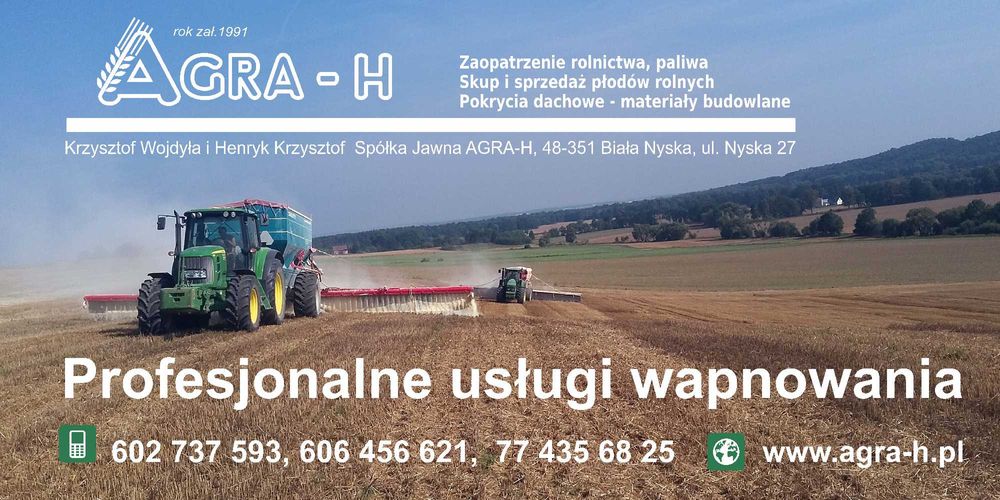 Profesjonalne usługi wapnowania