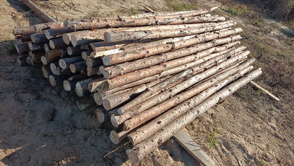 Stemple budowlane drewniane już ZACIĘTE na zamek