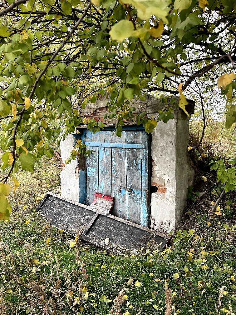 Земельный участок в селе Новая Басань Черниговской области
