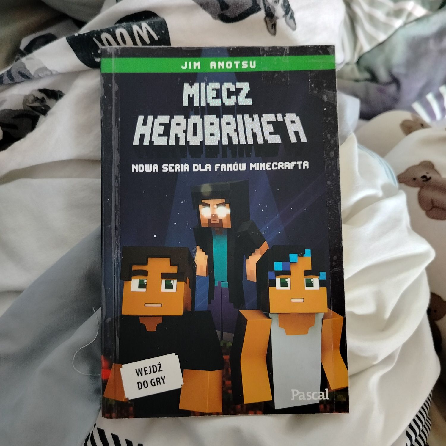 Książka Miecz Herobrine'a Jim Anotsu