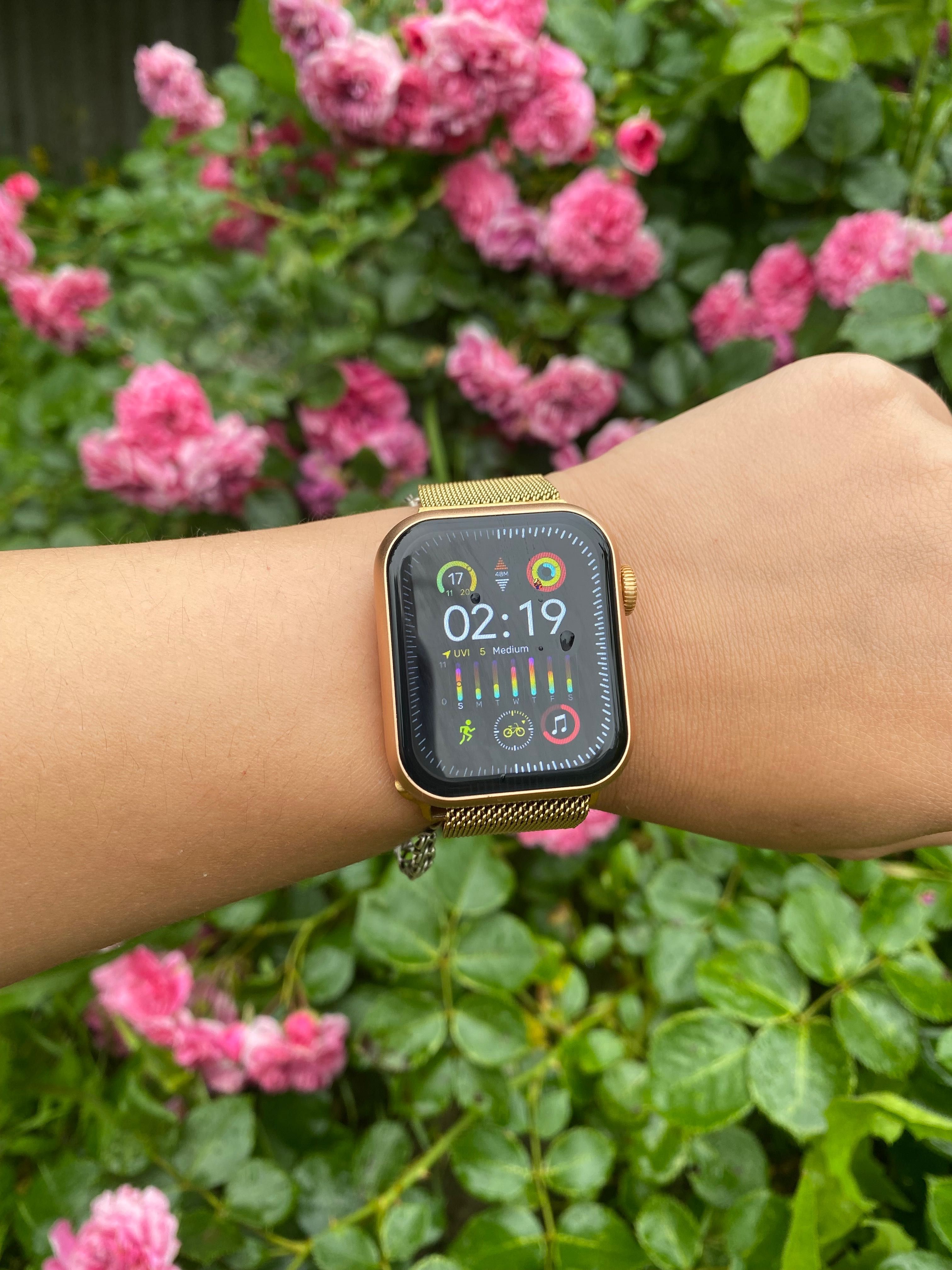 Apple Watch &Hermes