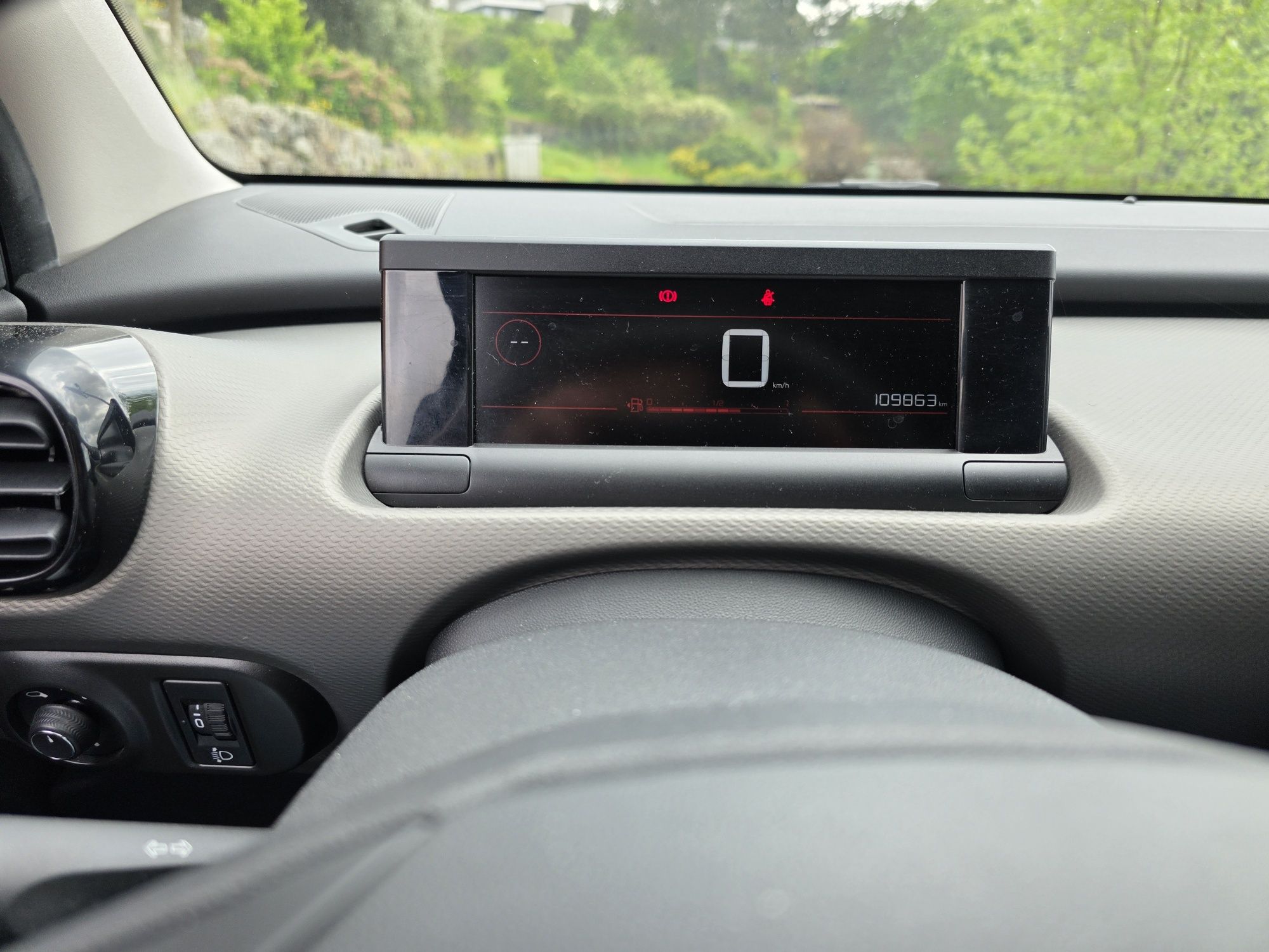 C4 cactus Shaine