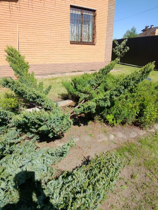 Послуги садівника