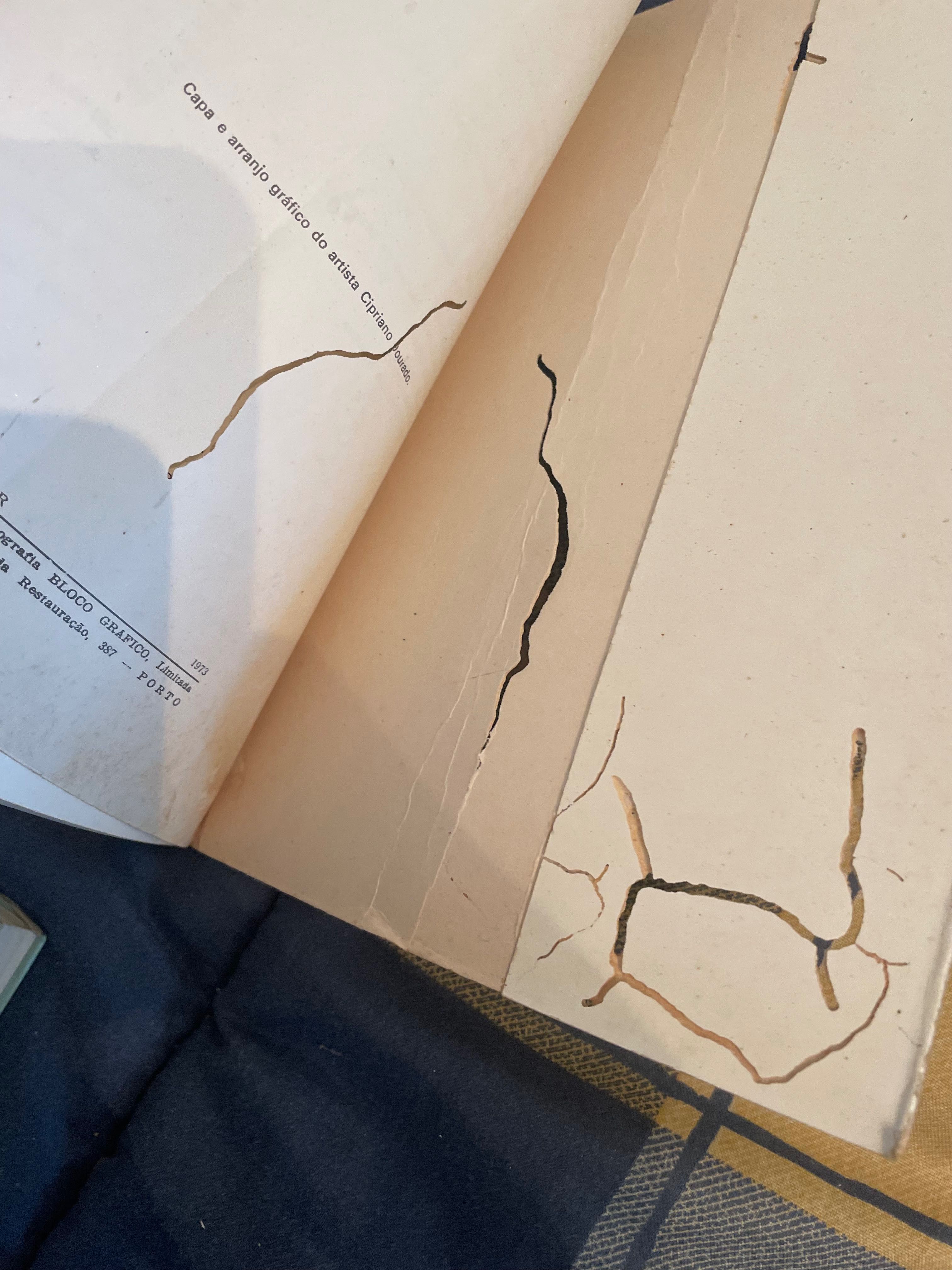 Livro Textos 2º e 3º Anos do Ensino Liceal