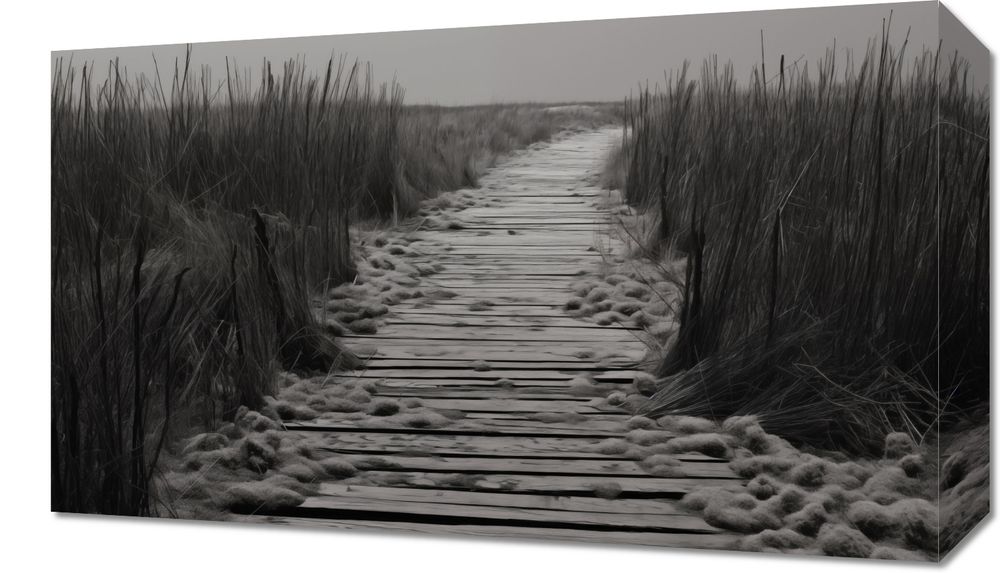 Obraz 50x30cm Ścieżka Ciszy Wydm