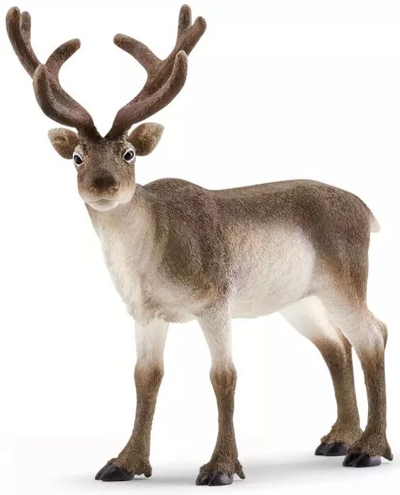 Wild Life. SLH14837. Renifer. Schleich. Nowy Produkt