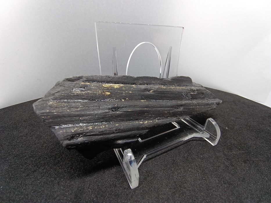 Skamieniałość Karbońska - Kora Sygilarii z Pirytem