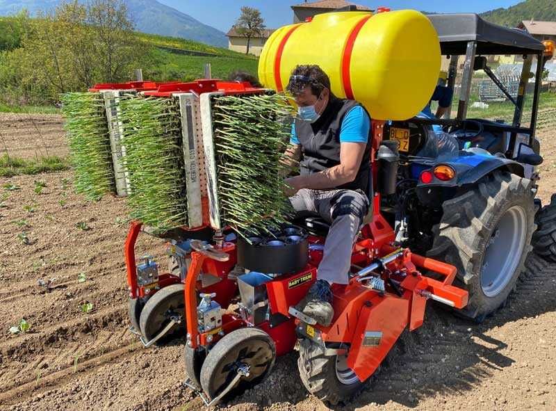 Саджалка ОВОЧЕВА Checchi & Magli перцю, капусти, баклажанів, помідорів