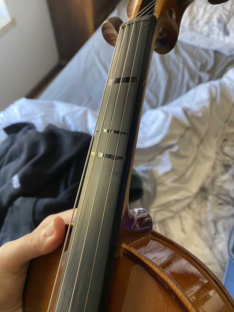 Violino Stentor 4/4