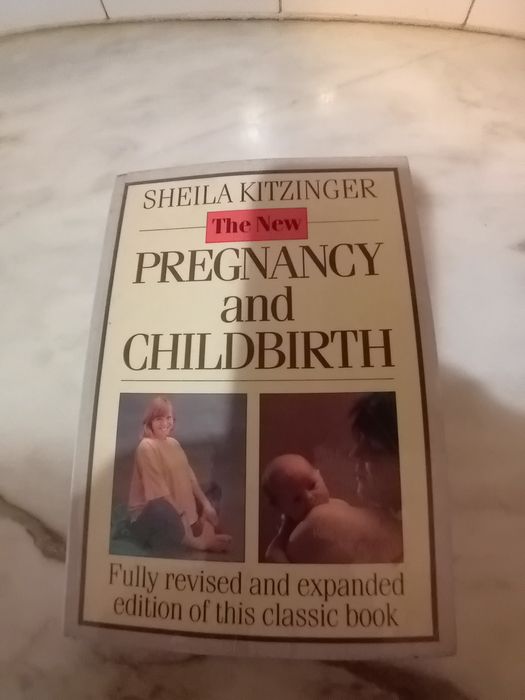 Conjunto de 2 Livros The New Pregnancy and Childbirth e Up The Duff