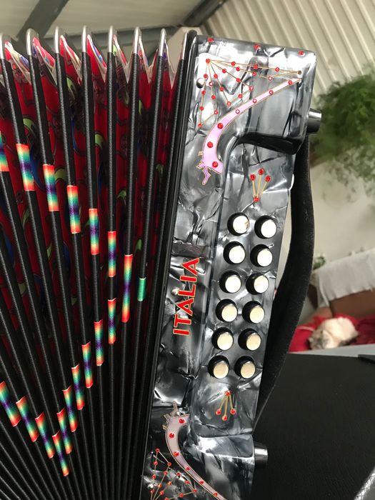 Vendo concertina semi nova da mesma fábrica da pedrosini em SOL DO FA