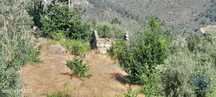 Terreno em Seixo da Beira de 3000,00 m2