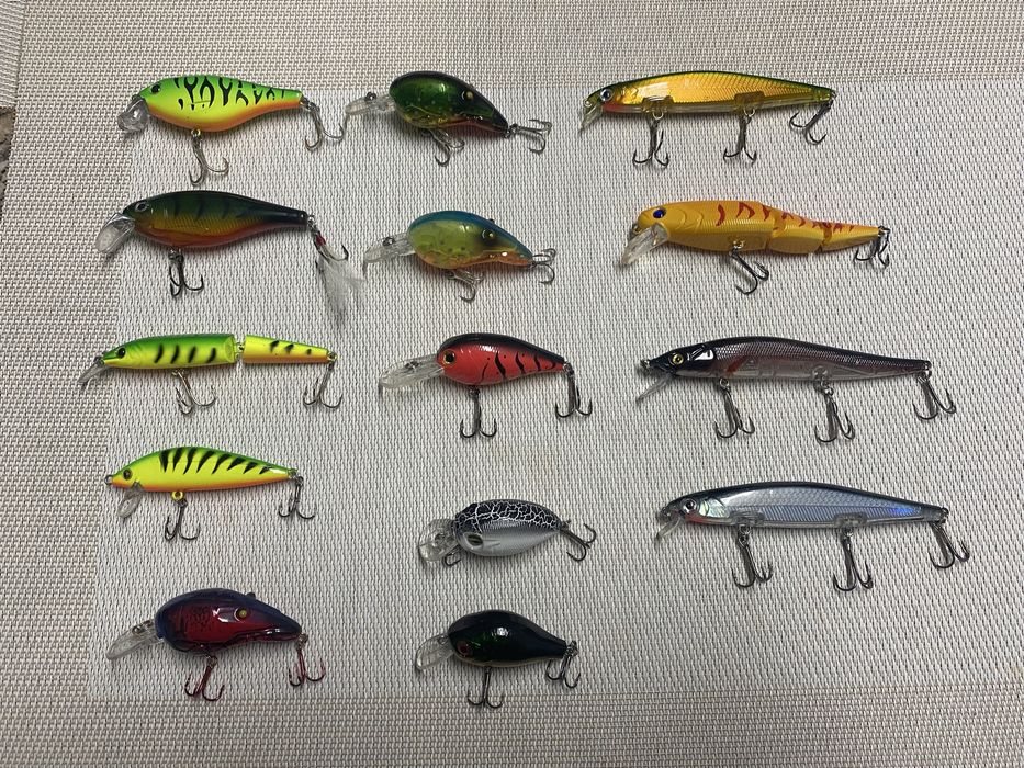 Lote de amostras (pesca ao achigã)