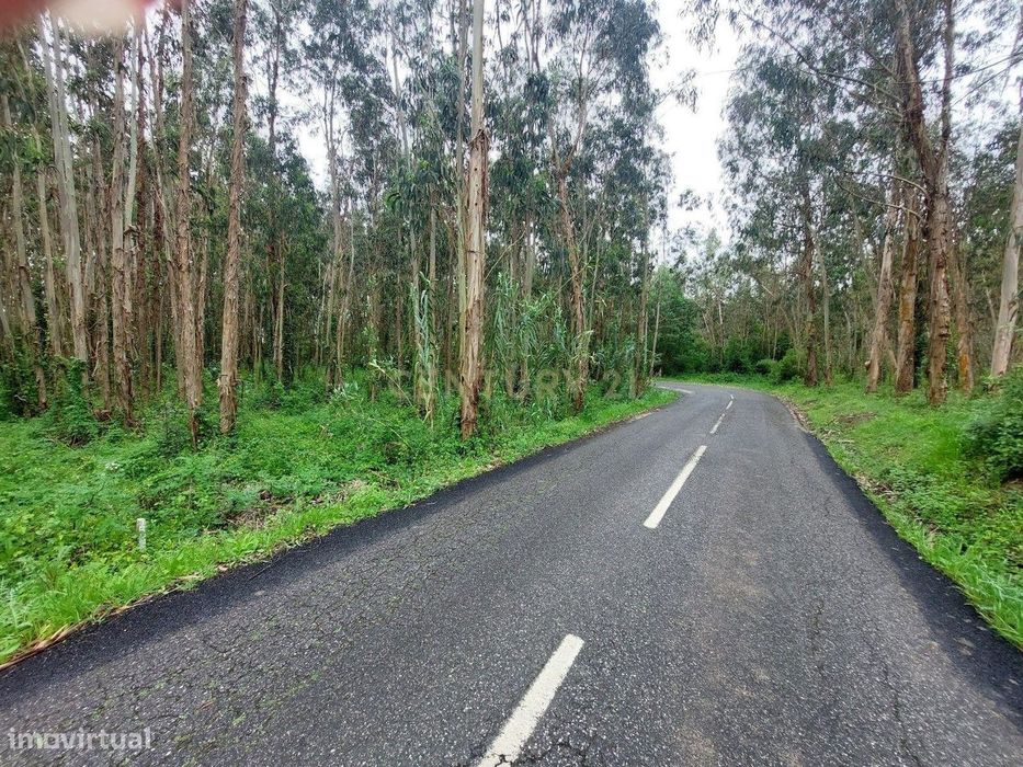 Terreno Rústico, inserido em uma zona tranquila no Paião, 14 minutos d
