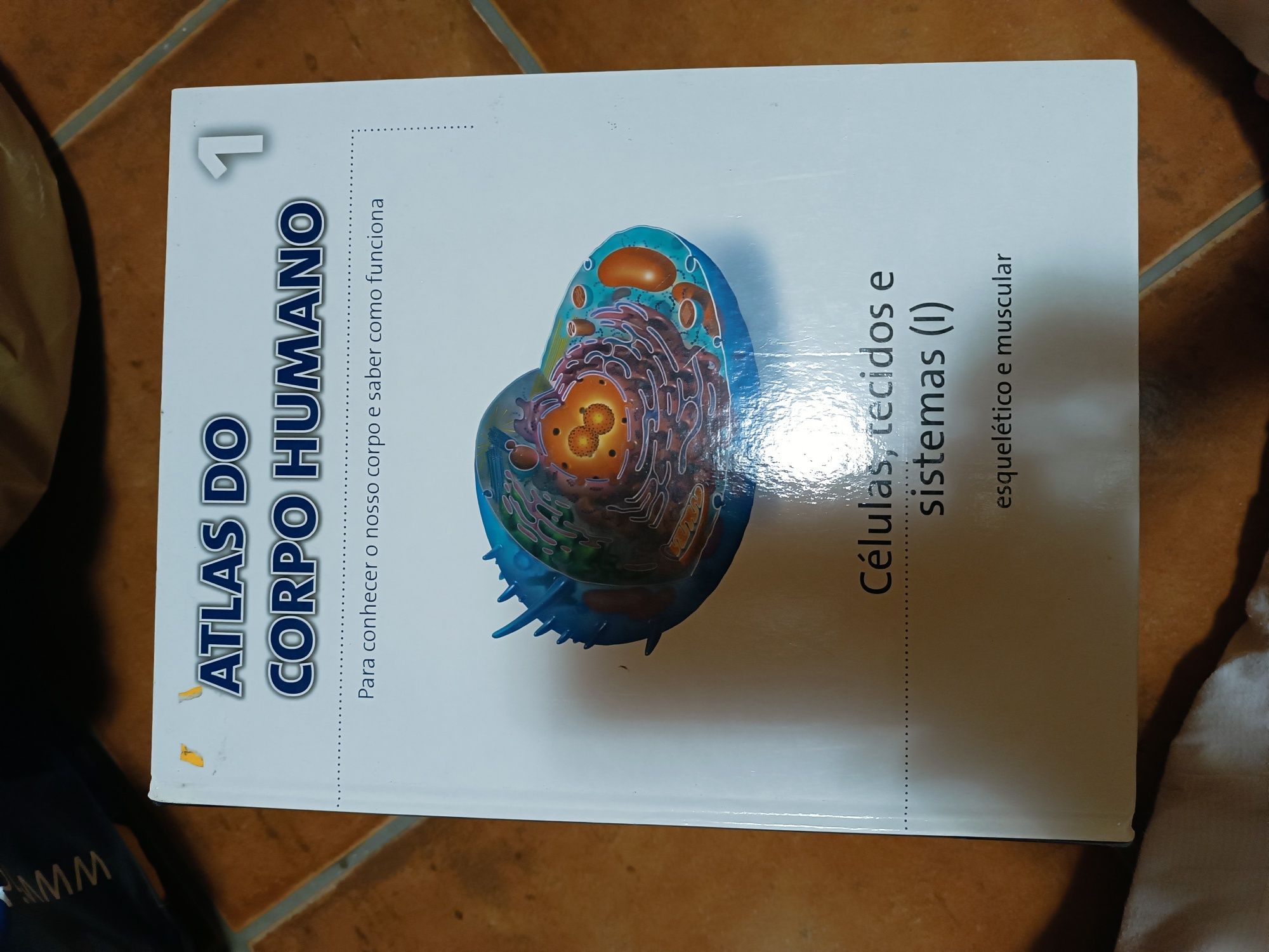 Colecção Atlas do corpo Humano