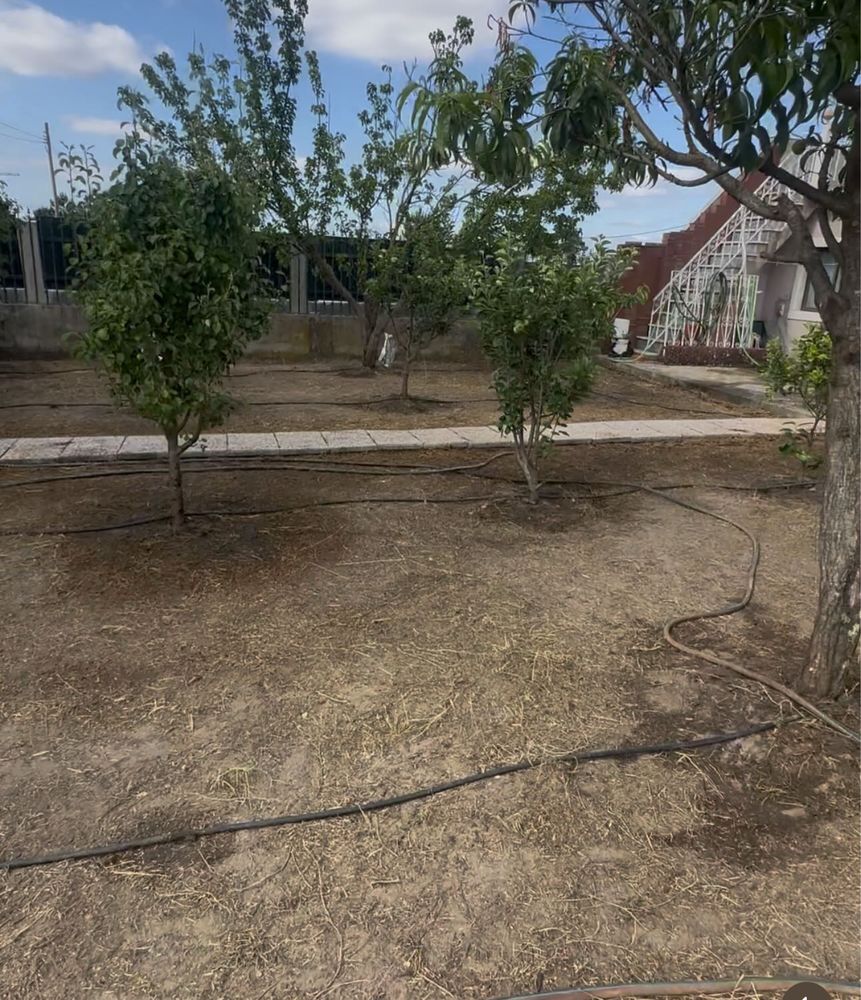 Limpeza de todo tipo de terrenos
