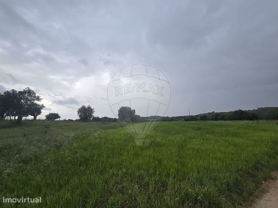 Terreno  para venda