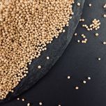 Продам білу гірчицю, віяна 35 грн/кг