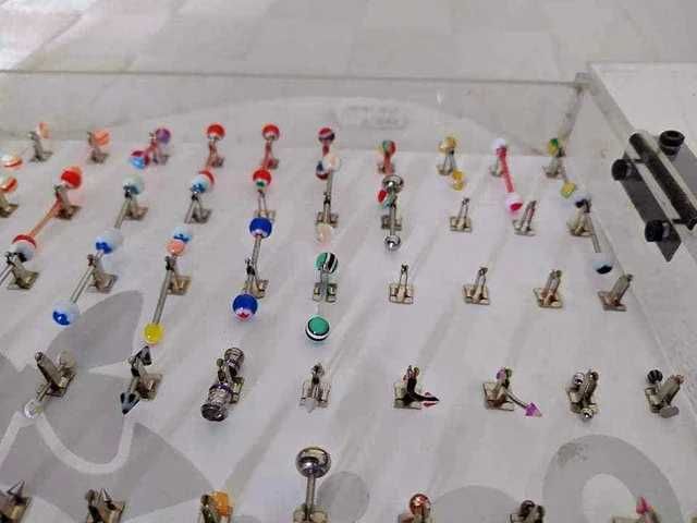 Lote de 290 Piercings