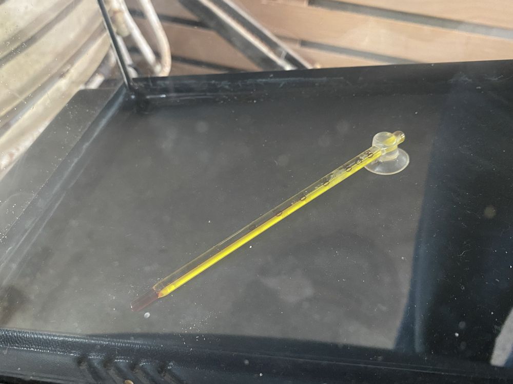 Aquário Compacto com Medidor de Temperatura – 40cm