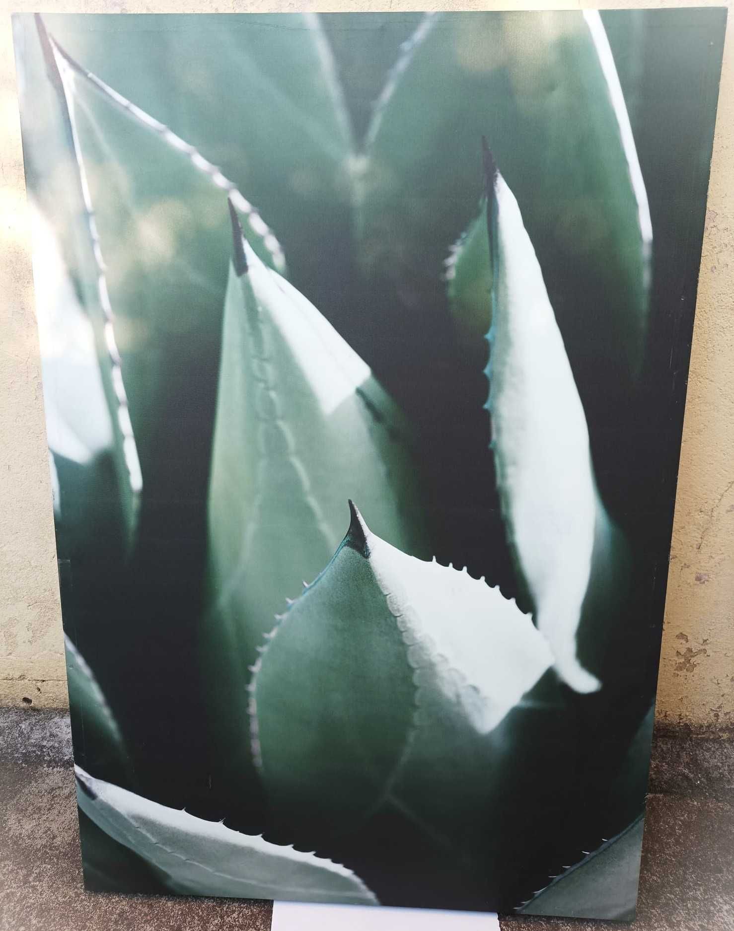 tela impressa com 120x80 cm