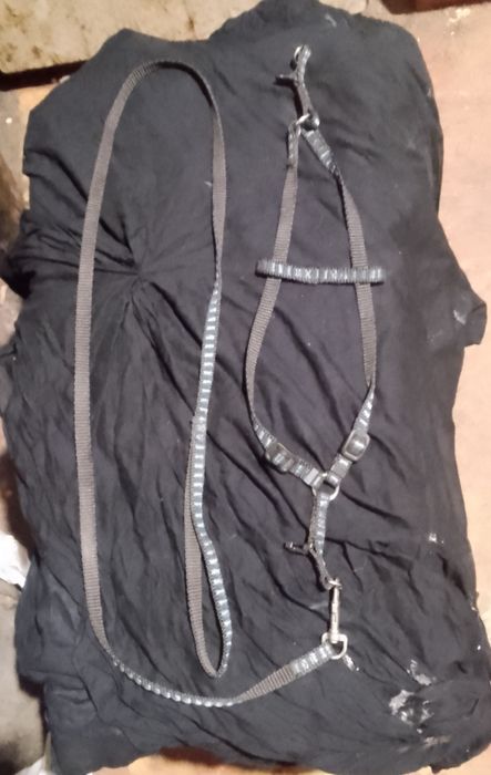 Продам шлейку для собак