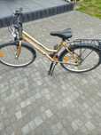 Rower damski Cadex 26cali