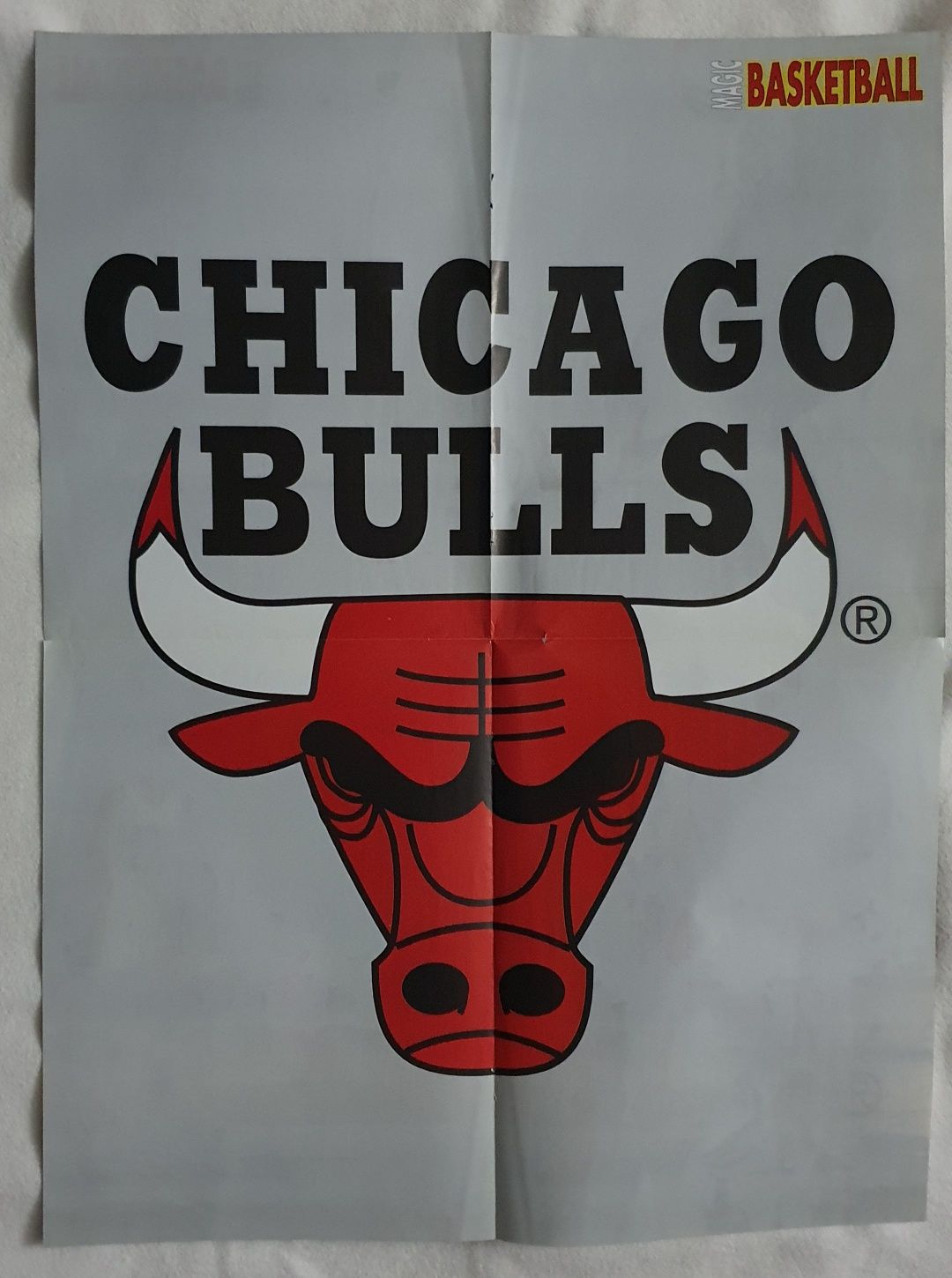 Plakat NBA Chicago Bulls Dennis Rodman