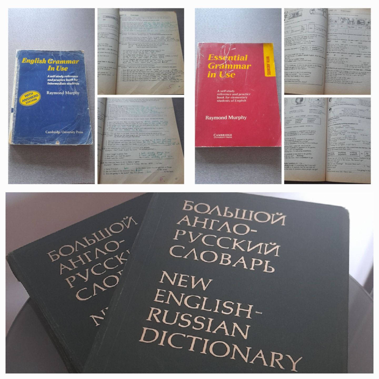 Мопассан,В.Ирвинг,словари,Маринина,Фромм,Фрейд,Гавальда,Север,Койдль
