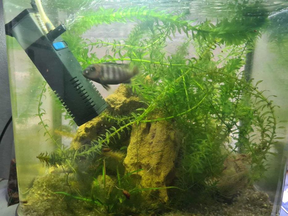 Аквариумный комплект Resun РЕЗУН DM-320,  22 л