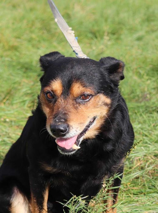 Atom – kochany senior pełen radości