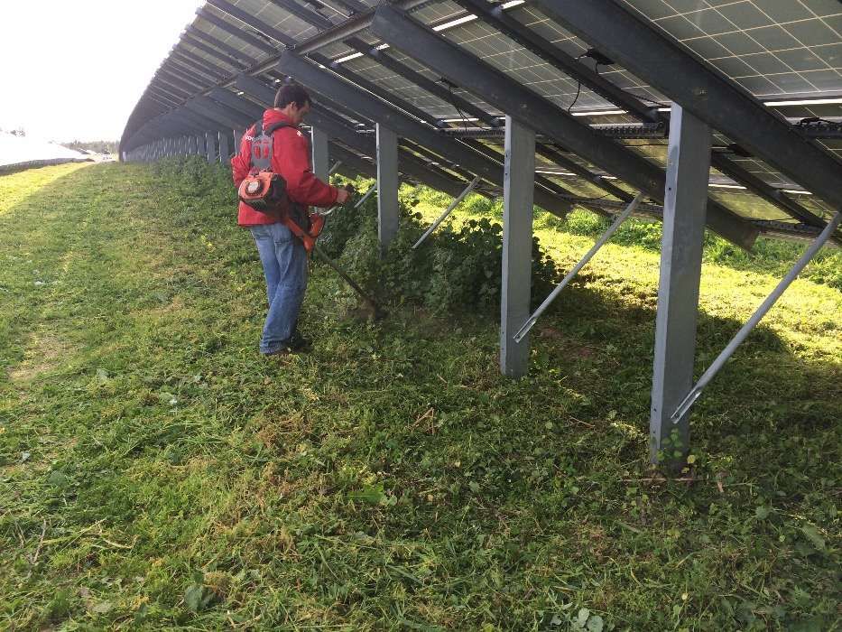 Trabalhos trator limpeza desmataçao de terrenos em Setúbal em Lisboa