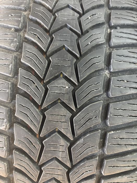 Opony zimowe Dębica 215/55R16