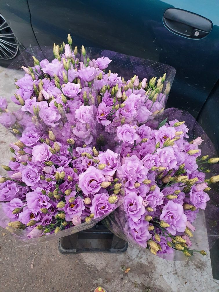 Продам зріз квітів Еустома(лізіантус)