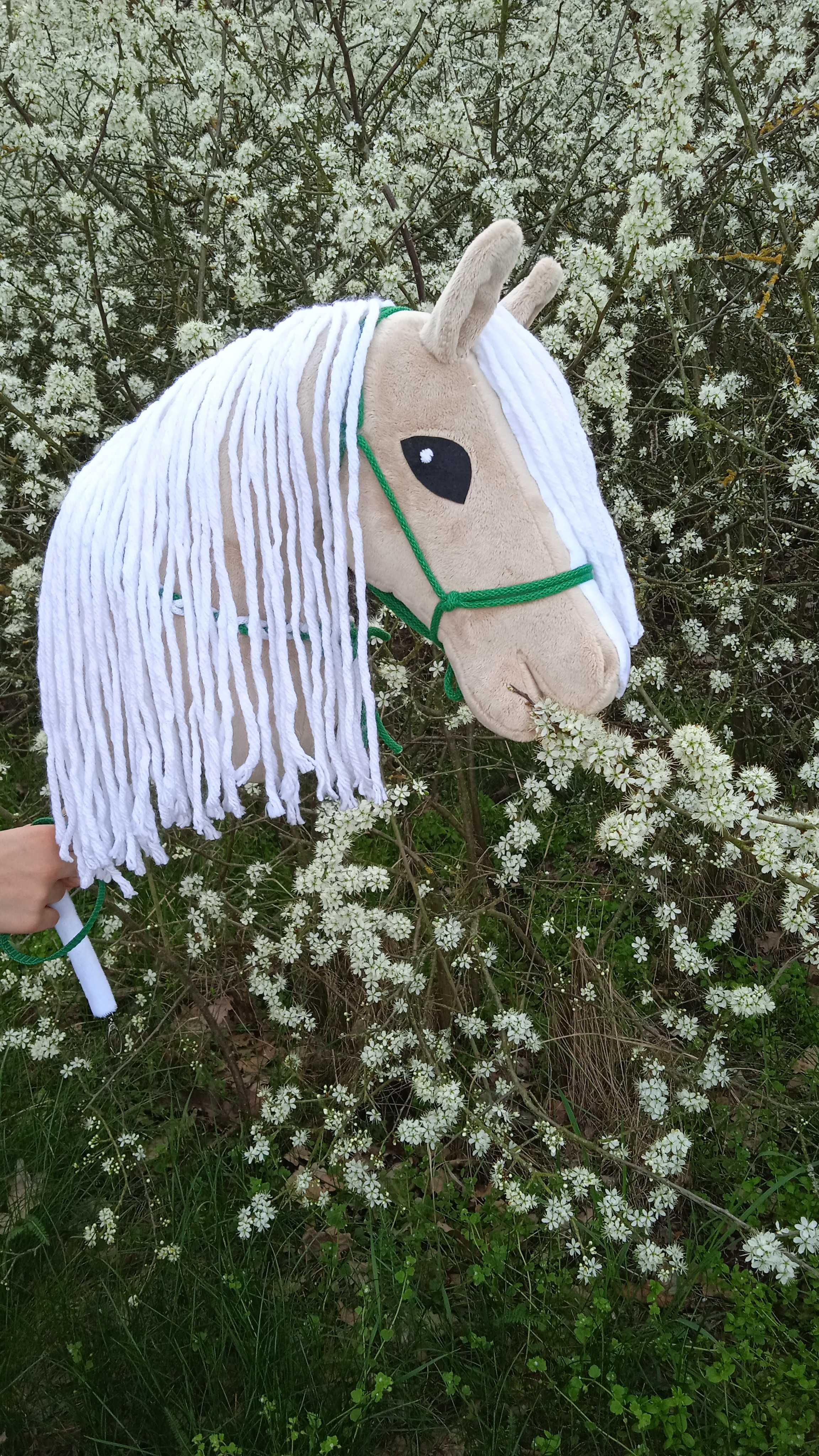 Hobby horse izabelowaty + halter + cordeo