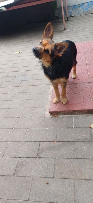 Декоративна міні дівчинка 5 кг