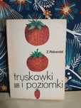 Truskawki i poziomki Zofia Rebandel książka