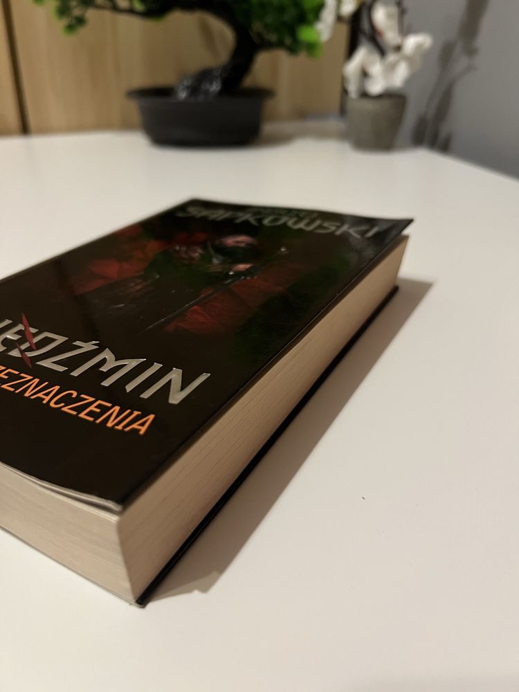 Wiedźmin - Miecz Przeznaczenia - Wydanie Wiedźmin II