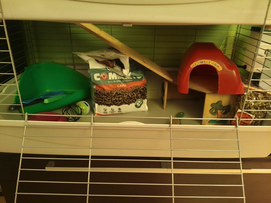 Klatka dla świnki morskiej piętrowa + akcesoria