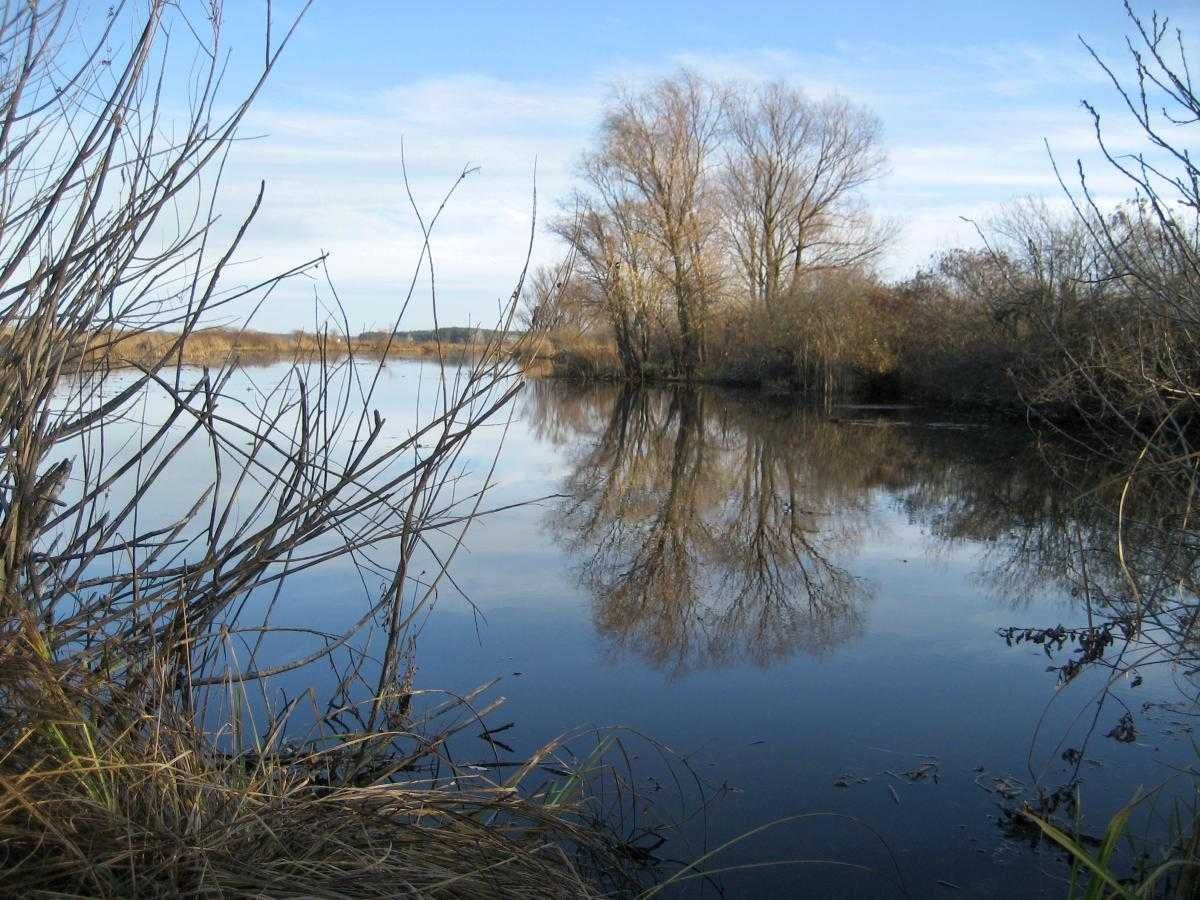 Рибаку! Продам частину берега річки Павлівка Бориспільський р-н