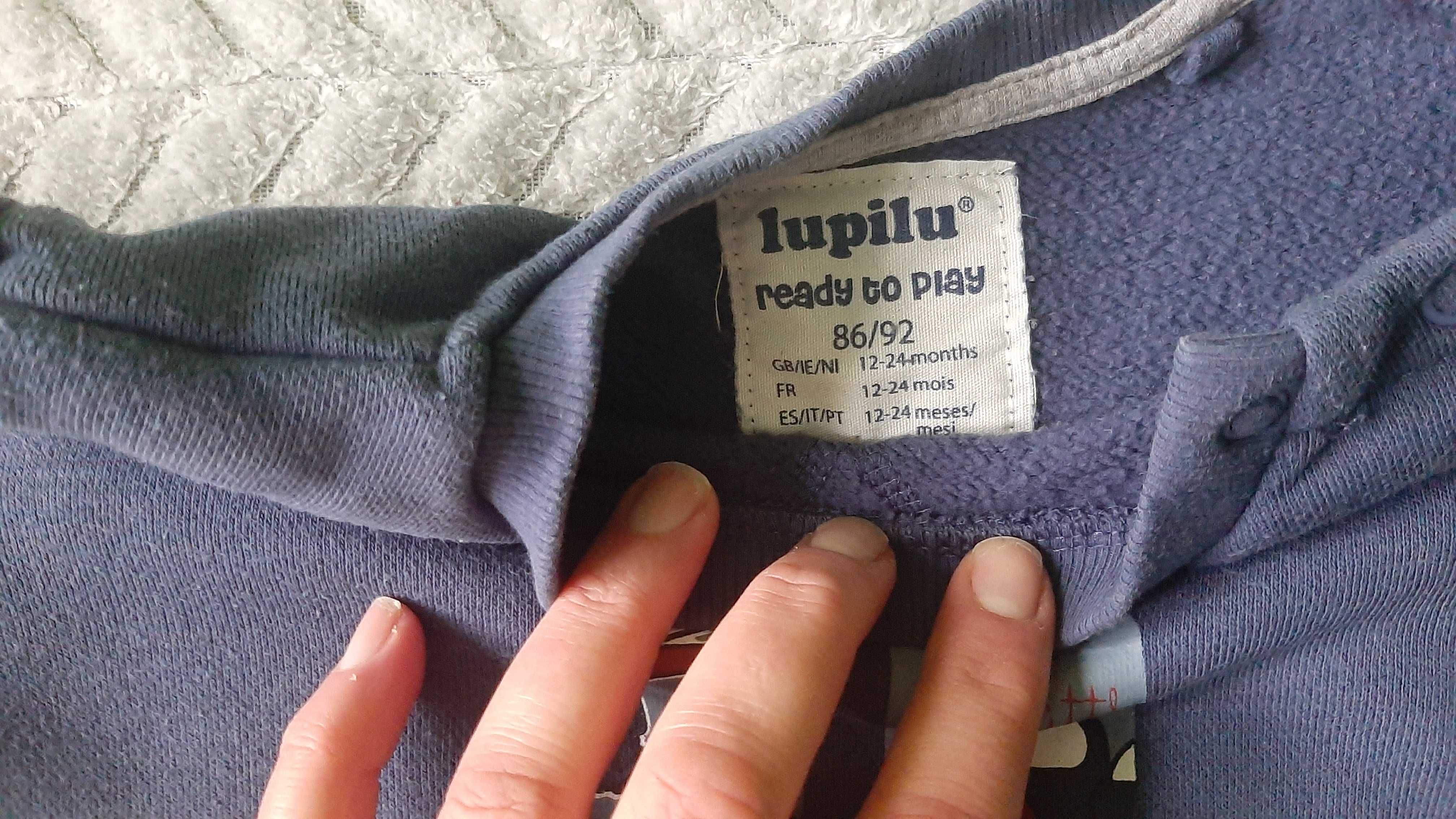 Bluzy chłopięce Lupilu roz 86-92