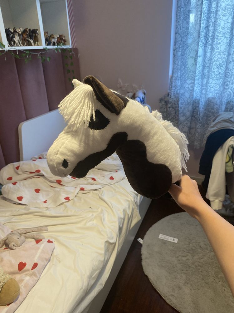 Konik hobby horse