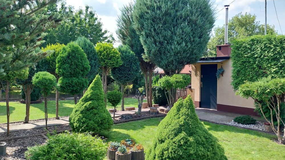 Ogród działkowy ROD Kapuściska Bydgoszcz