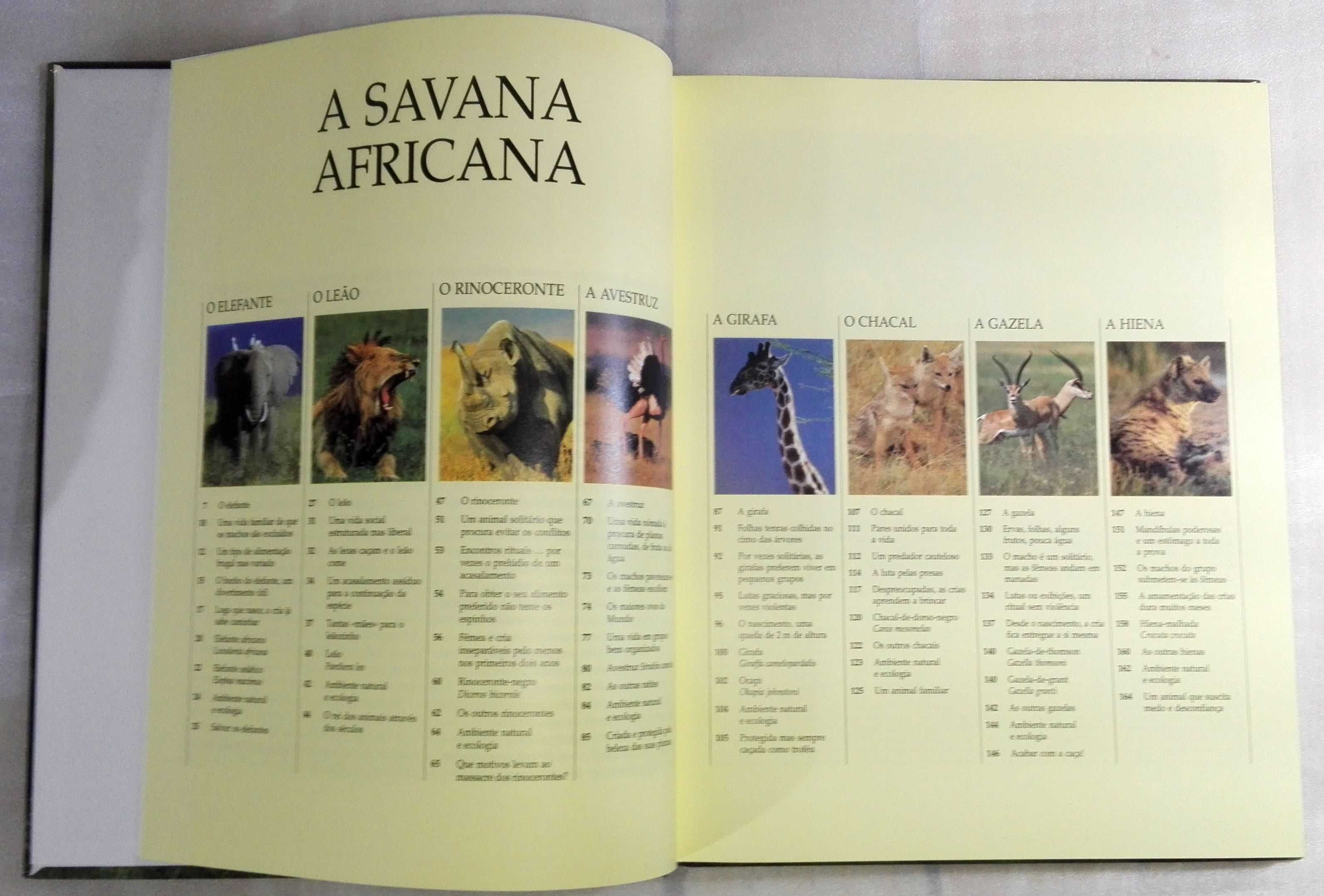 Livro Vida Selvagem – Animais da Savana
