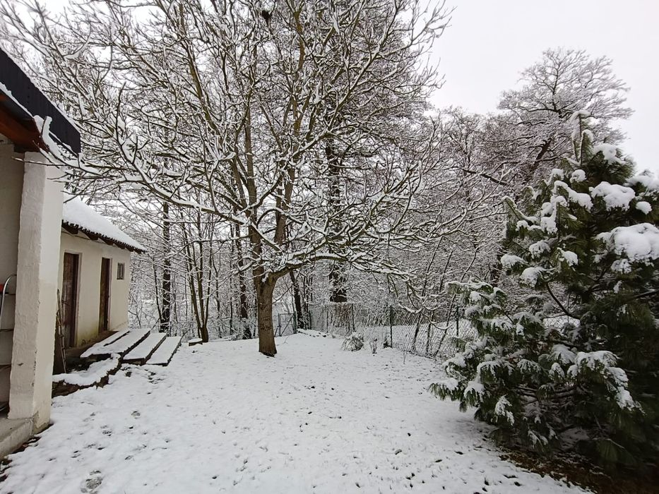 Piękny Domek z ogródkiem