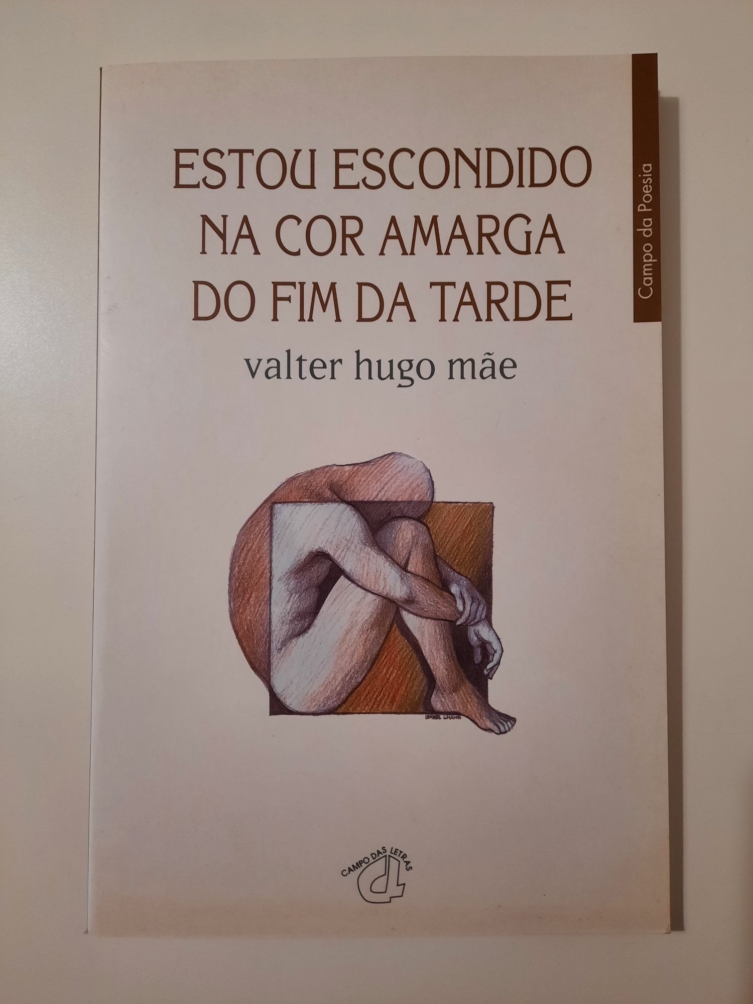 Valter Hugo Mãe (Vários)