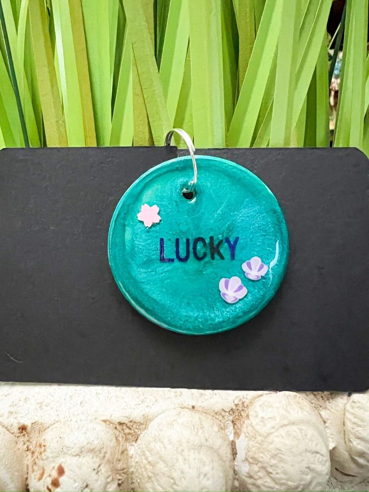 Chapas de Identificação de cão e gato